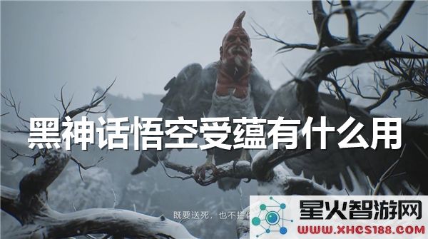 黑神话悟空受蕴解析:战斗系统如何影响角色成长?
