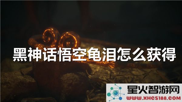 黑神话悟空龟泪获取攻略:2024最新掉落机制解析
