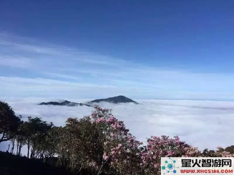 原神怎么上雪山山顶的路