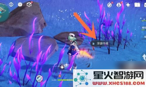 原神中寻找飘浮灵的最佳地点与具体位置介绍