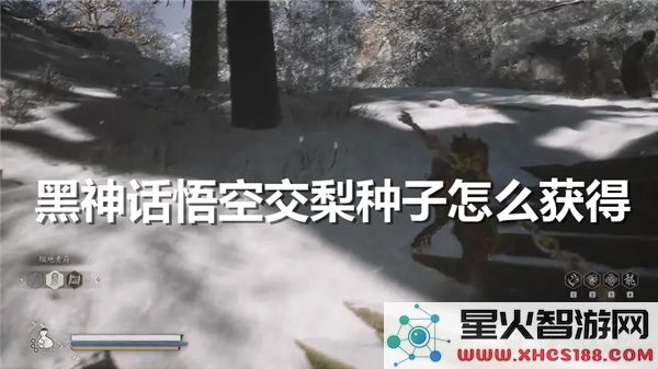 黑神话悟空交梨种子获取攻略：2024最新掉落位置解析
