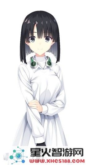 桥姬雏菊