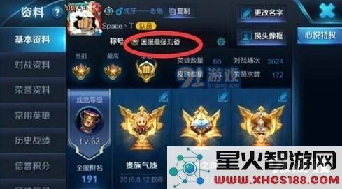 王者荣耀国服第一刘备最强装备推荐与铭文解析全攻略