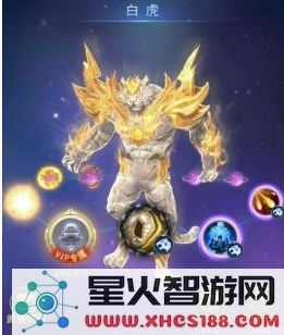 斗罗大陆阵容搭配攻略