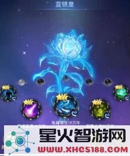 斗罗大陆阵容搭配推荐