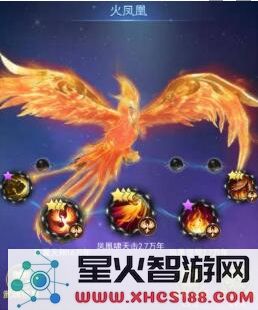 斗罗大陆阵容搭配推荐