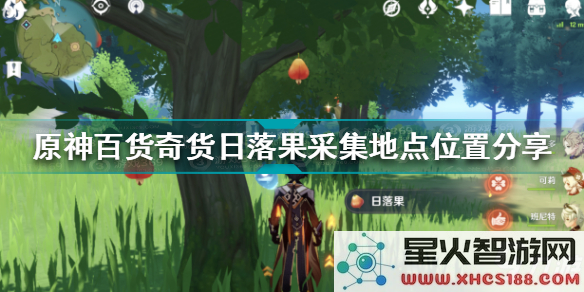原神蓬蓬果在哪里