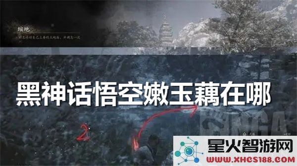 黑神话悟空嫩玉藕位置解析:近期爆火道具获取攻略