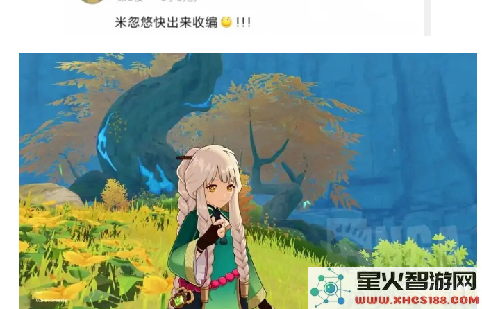 原神人物旁边飞的宠物