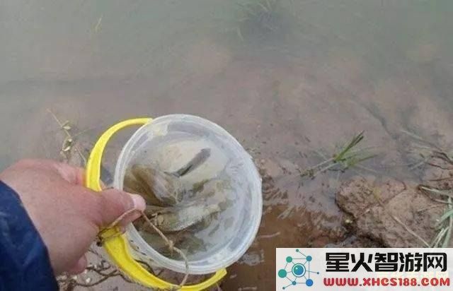 在原神中制作钓鱼鱼饵的详细步骤与技巧分享