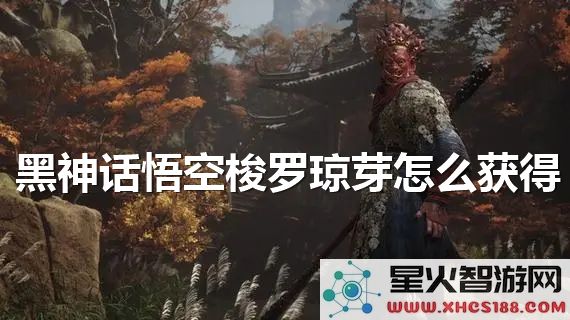 黑神话悟空梭罗琼芽获取攻略：2024最新掉落位置解析