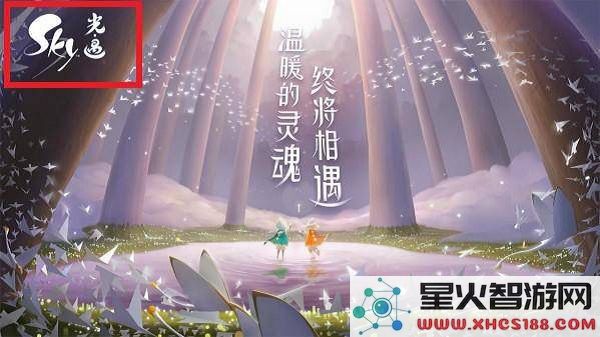 光遇国际服和光遇国服不同介绍