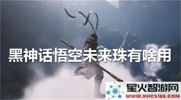 黑神话悟空未来珠解析:游戏道具实战效果如何?