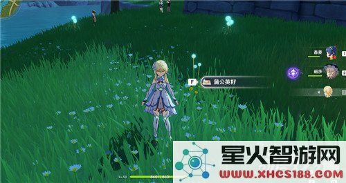 原神蒲公英种子采集点