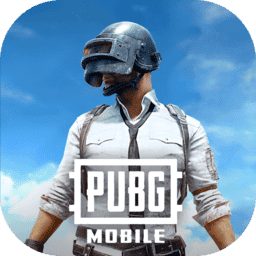 2025pubg国际版手游