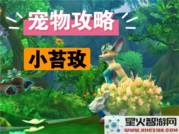 魔兽世界11.0小苔玫宠物获取攻略:2024新版本稀有战宠捕捉指南