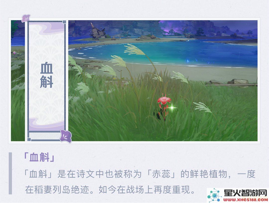 探寻原神稻妻地区独特植物特产及其采集与用途的全面指南