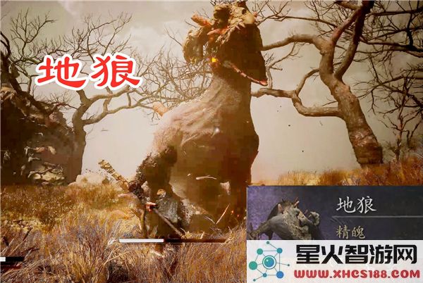 黑神话悟空地狼精魄获取攻略:2024最新打法与掉落机制解析