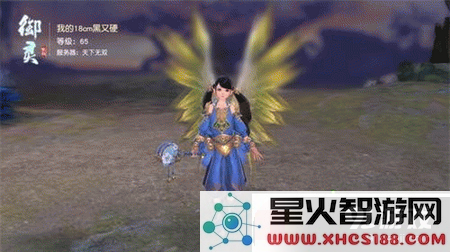 镇魔曲手游御灵伤害提升的全面攻略 与实际战斗案例分析