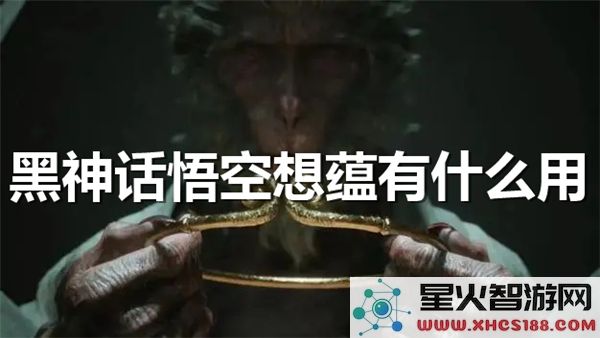 黑神话悟空想蕴解析:如何提升战斗体验-实战技巧分享