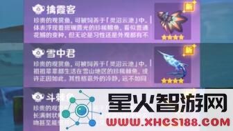 在《原神》中如何获得钓观赏鱼所需的各种鱼饵详细攻略