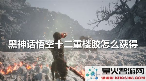 黑神话悟空十二重楼胶获取攻略:2024最新掉落机制解析