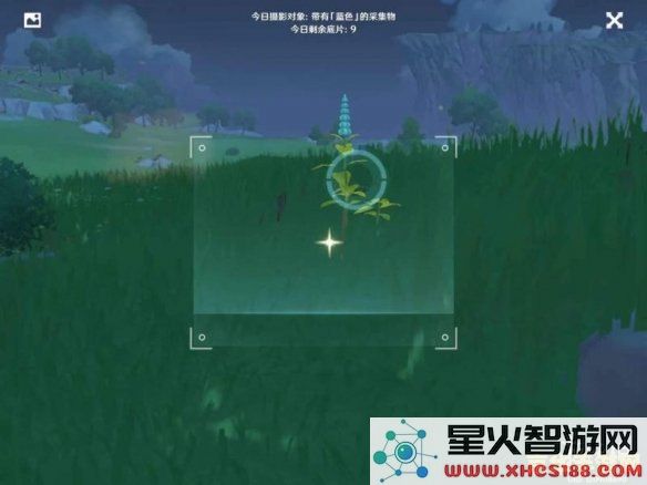 原神带蓝色的采集