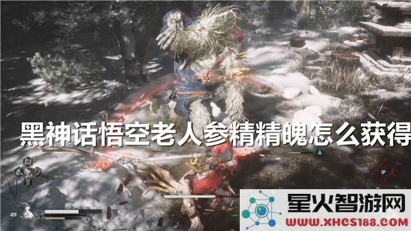 黑神话悟空老人参精精魄获取攻略：2024最新打法解析