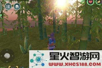 创造与魔法中竹笋的具体位置在哪里 竹笋获取地点详细分享一览