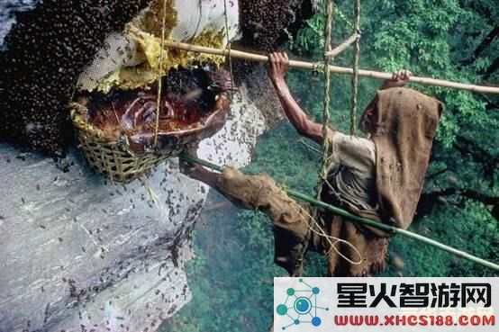 原神蛇骨矿洞悬崖边的雷神瞳在哪