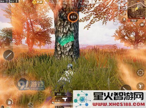 和平精英淘汰倒计时机制详解 了解淘汰倒计时如何运作与影响