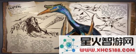 方舟手游风神翼龙刷新位置详解与分享 让你轻松找到风神翼龙的最佳刷新地点