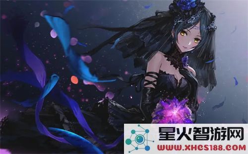 竹夫人:从植物到生活,深入探讨竹子的美丽与神奇