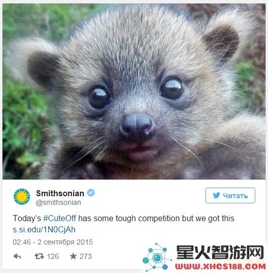 原神有哪些小动物