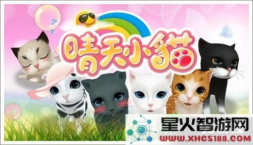 晴天小猫的婚姻指南：详细解析猫咪结婚的条件与步骤