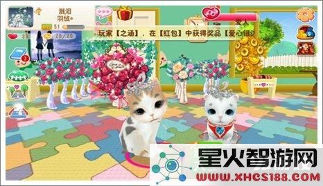 image.php?url=08IXou01