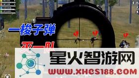 原神新鲜的冷冻肉