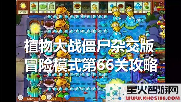 植物大战僵尸杂交版:冒险模式第66关通关技巧解析 - 最新攻略