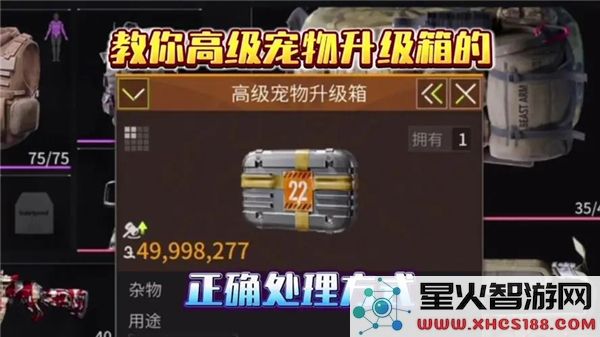 萤火突击宠物扩容箱使用指南:2024最新操作技巧解析