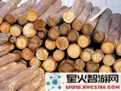 原神松木衫木的具体位置和获取方式有哪些？详细介绍及攻略分享