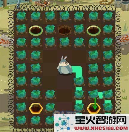 兔子复仇记第69关通关攻略详解，图文并茂帮助玩家顺利过关技巧分享