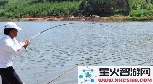 原神最难钓的鱼在哪里