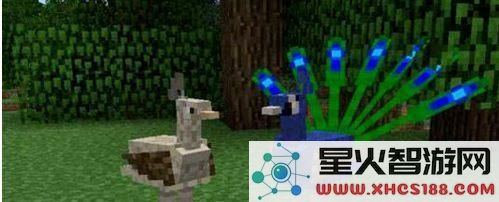 我的世界手游