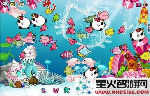 开心水族箱中如何合理挂宝?详尽的挂宝技巧与方法分享