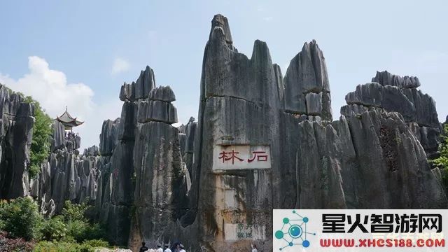 原神石林顶端在哪