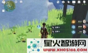 原神中的白萝卜与香菱：探索美食与角色的奇妙结合