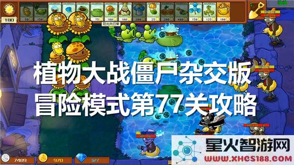 植物大战僵尸杂交版第77关攻略：冒险模式通关技巧解析-新手必学
