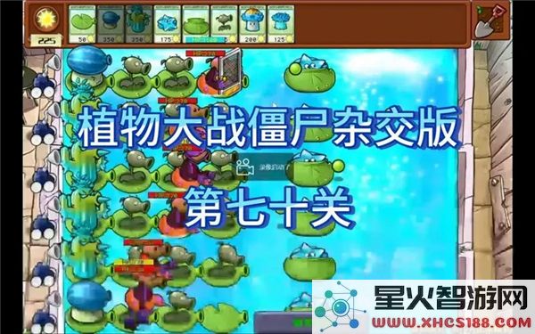 植物大战僵尸杂交版第70关攻略：冒险模式通关技巧解析-新手必学