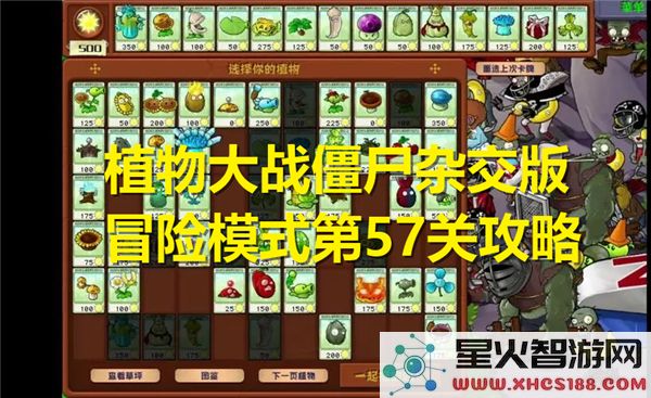 植物大战僵尸杂交版57关攻略：冒险模式通关技巧解析-最新实战