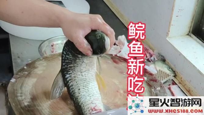 原神怎么把鱼拉上来 原神如何把鱼拉上来